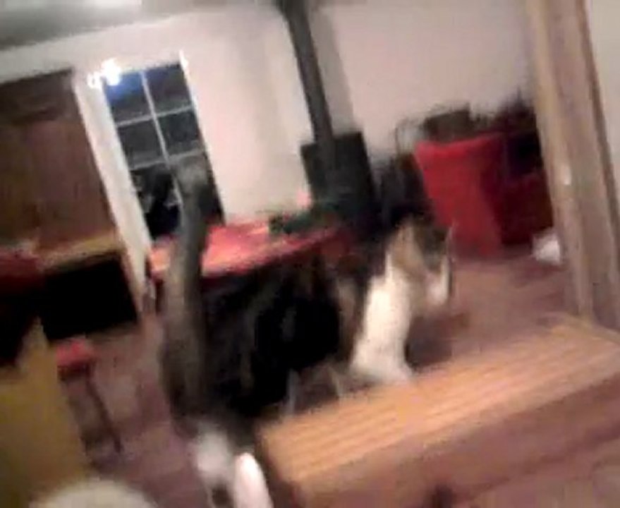 2010-04-09-BONBON ET CACAHUETE