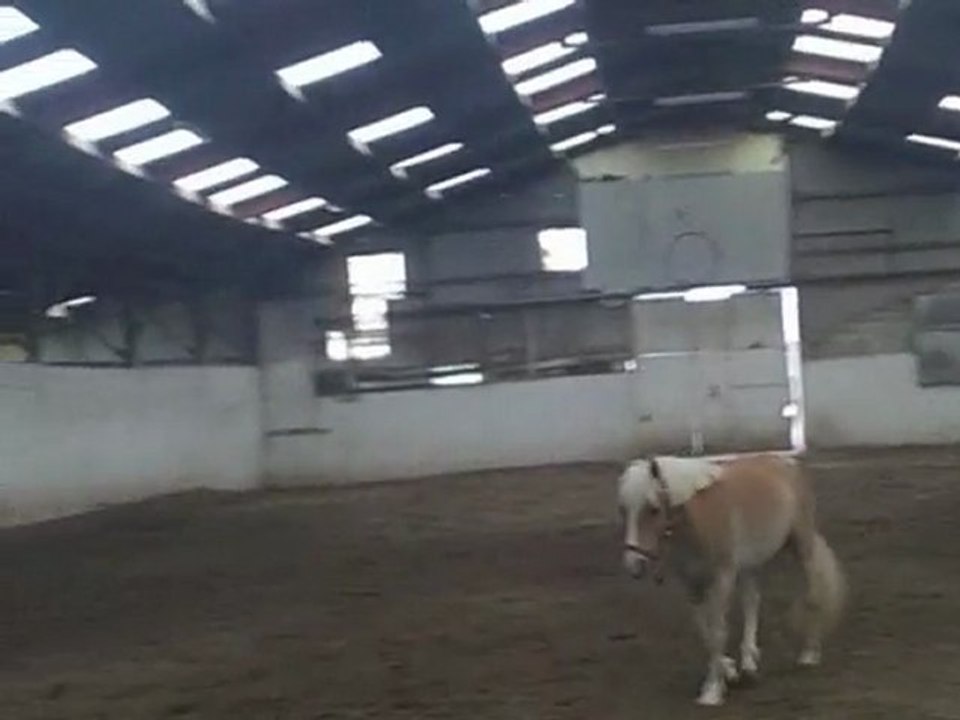 23 éme jours de vie de spirit