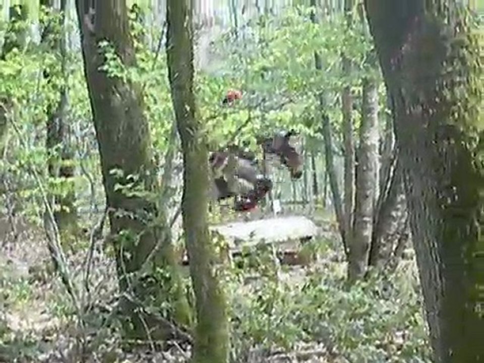 Khelline cross D1p la Chapelle Montligeon