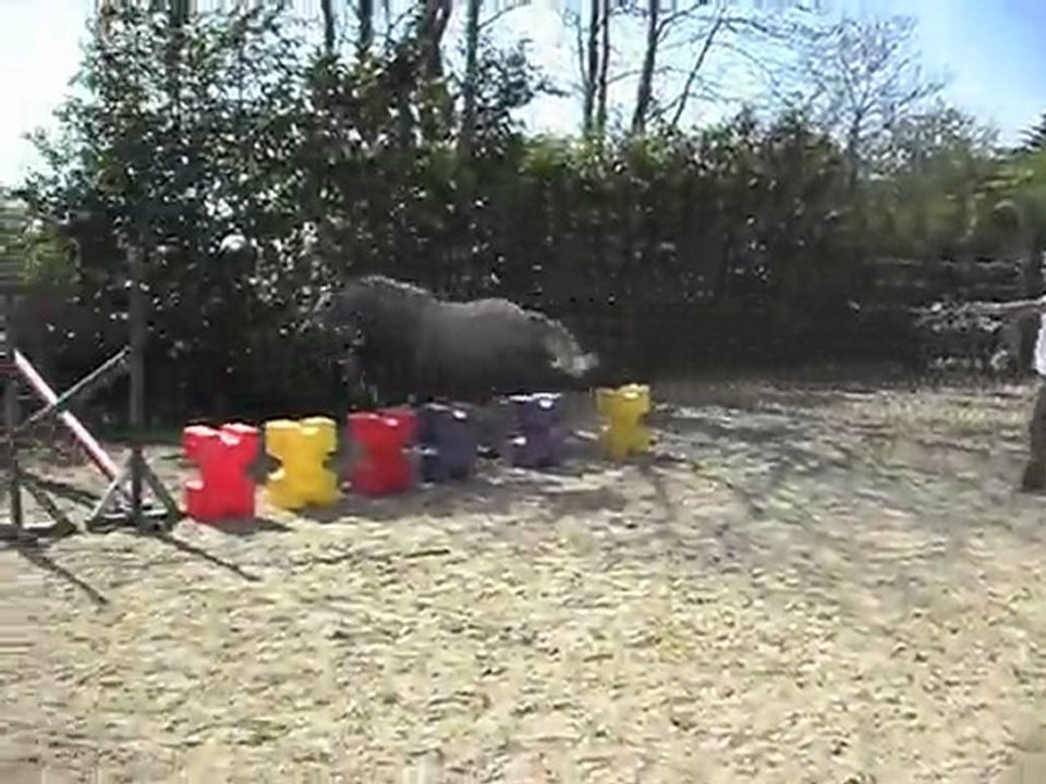 tryan du hahon à l'obstacle le 26 avril 2010