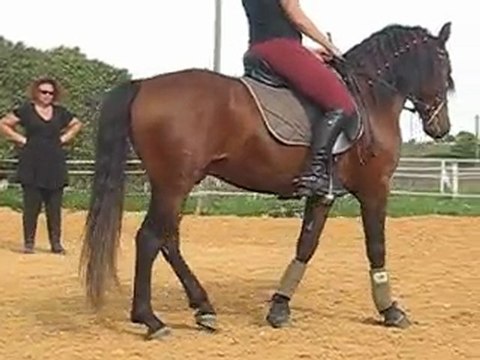 Artista, demi-tour sur les hanches 2