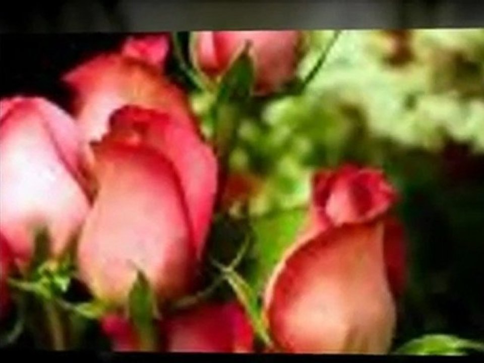 Funeral Flowers Columbus Ohio