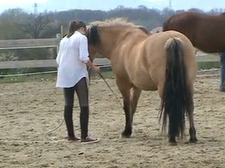 vacances pâques 2010 ( reverence )