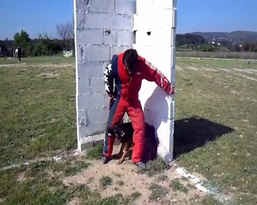 coupe des clubs 2010