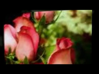 Funeral Flowers Pickerington Ohio