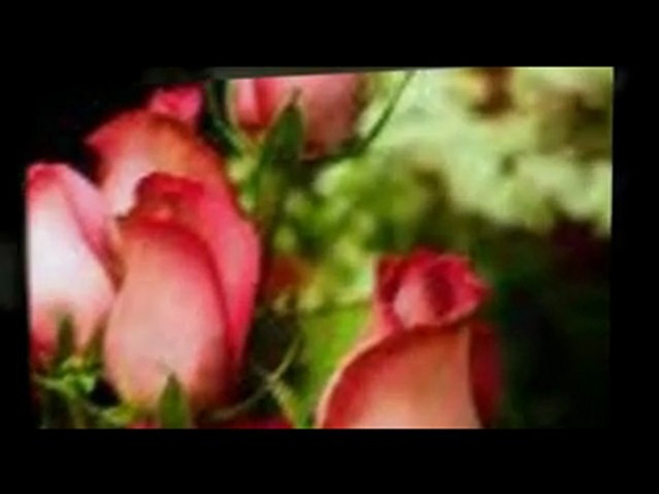 Funeral Flowers Pickerington Ohio