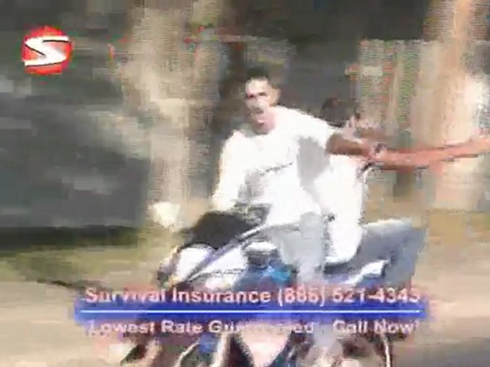 Cars Trucks Motorcycles Babes Chicks Girls