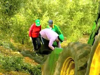 3. Las Valdesas.Aceite de oliva virgen extra. El olivar