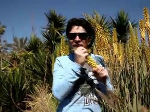 Захар - Это лето