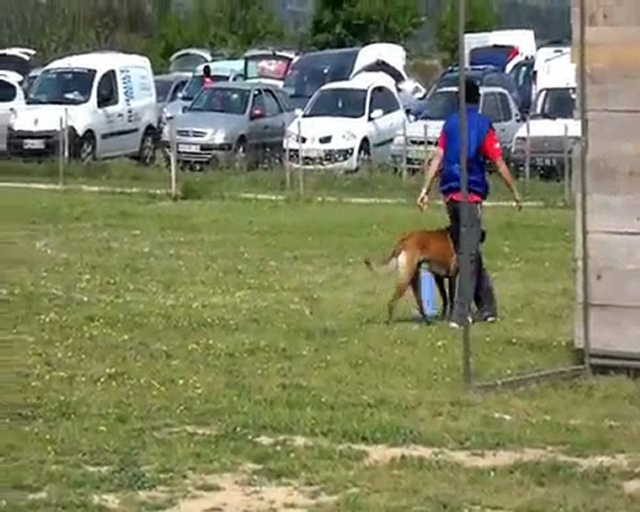 poussan
