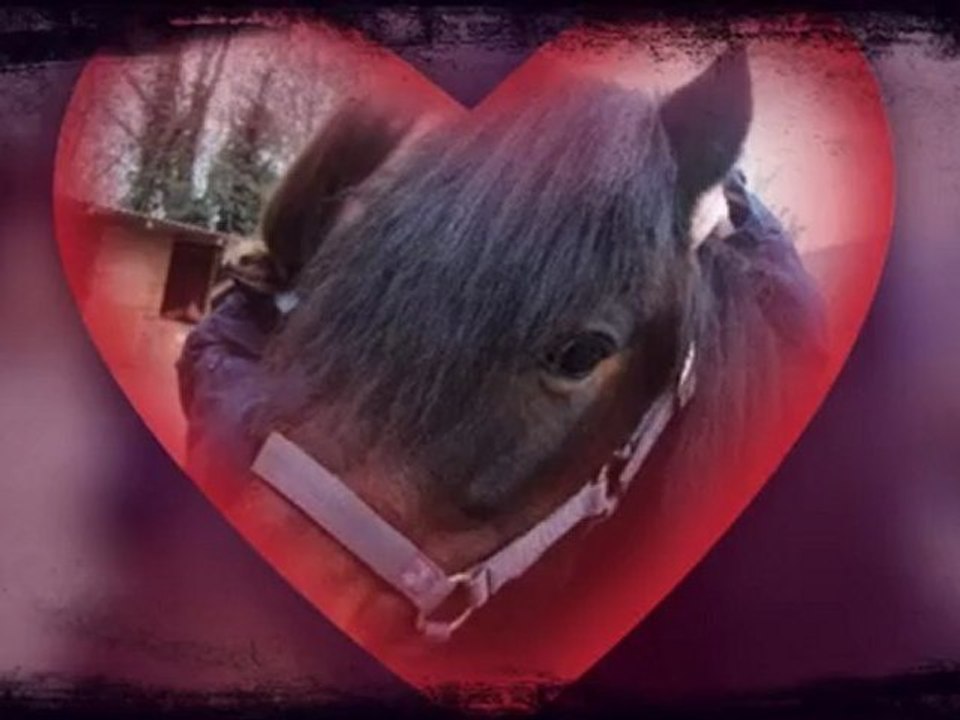 Je T'aimme Mon Ptit coeur