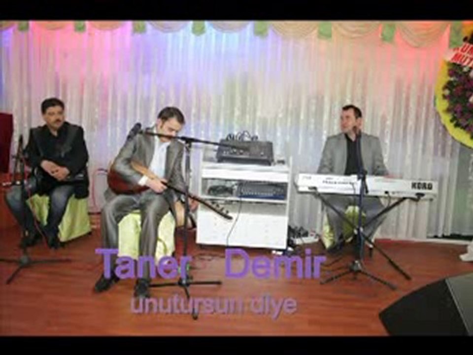 Taner Demir