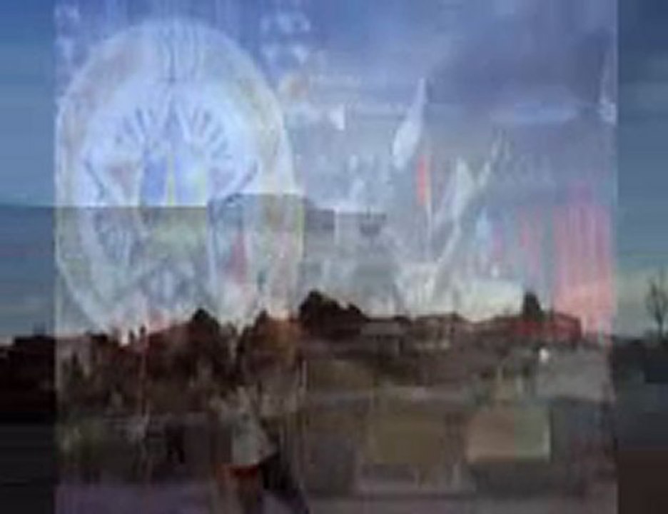 melecular palpation feat species cruzing