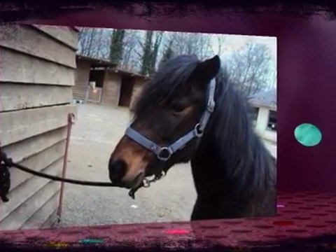 Je T'aimme Mon Ptit Coeur