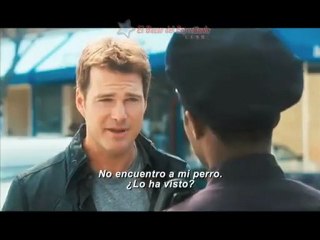 Como Perros y Gatos 2: Trailer: Revenge Of Kitty Galore