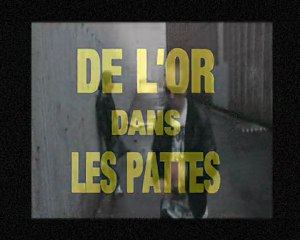 TEASER . CENTINO .DE L'OR DANS LES PATTES FEAT EDEN