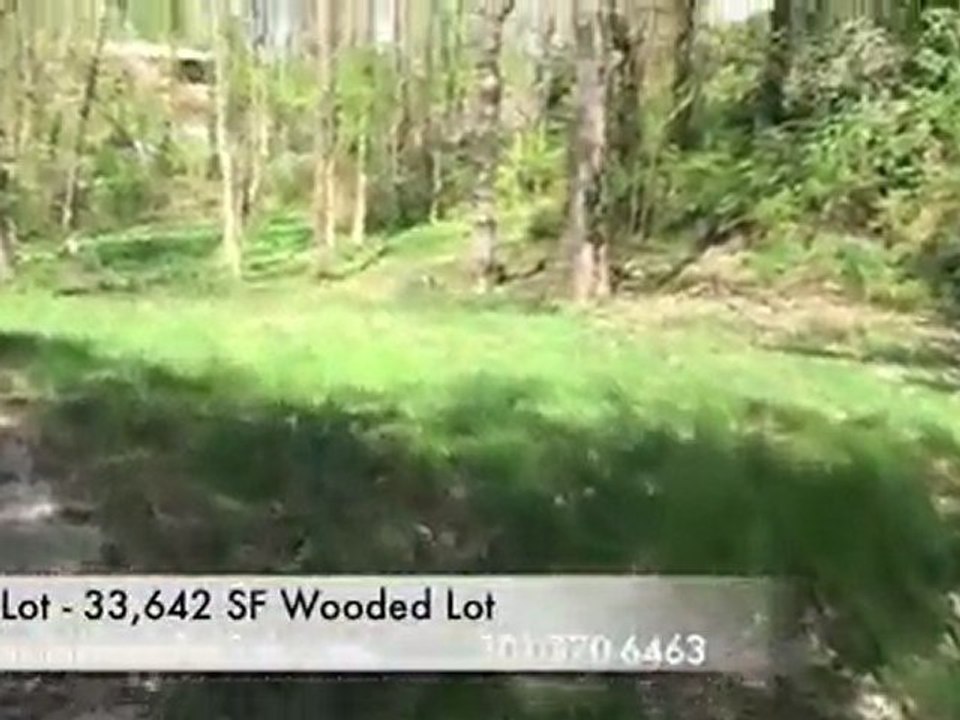 Bethesda New Home For SAle in Bannockburn by PAramount Cons