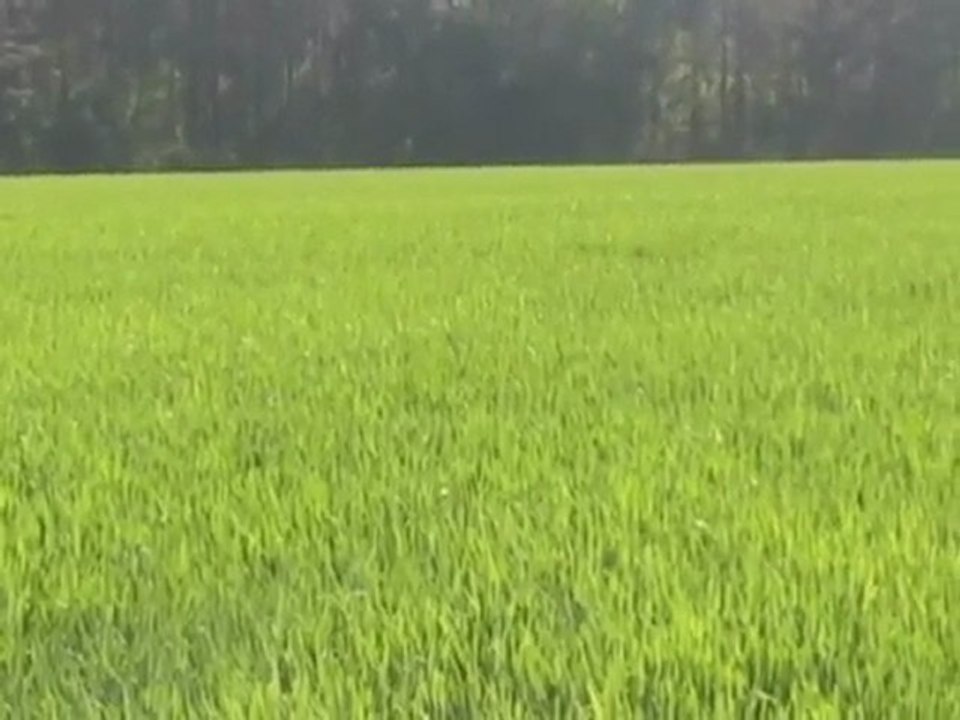 North Carolina Land For Sale