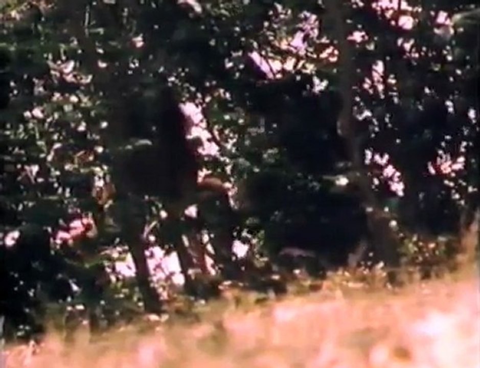 Land of the Lost - Something's Watching Part 1