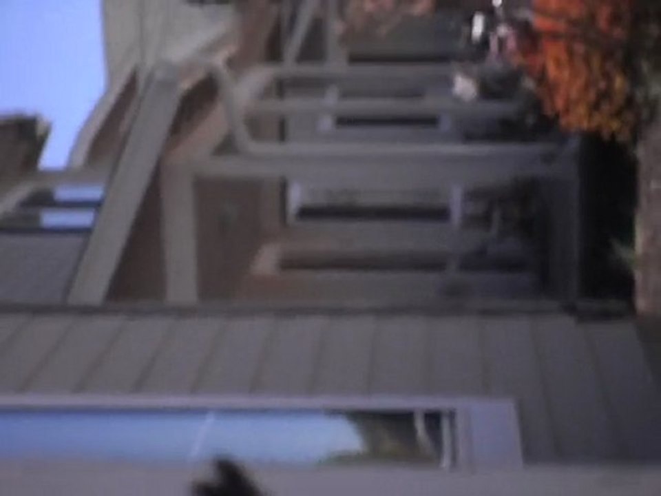 SDC11721