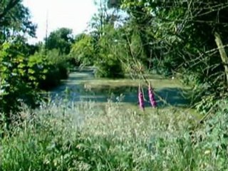 Balloo and back June 2003