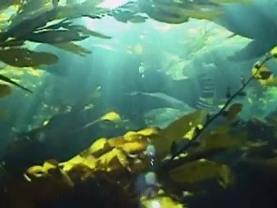 L'aventure des premiers hommes Les Amériques 3