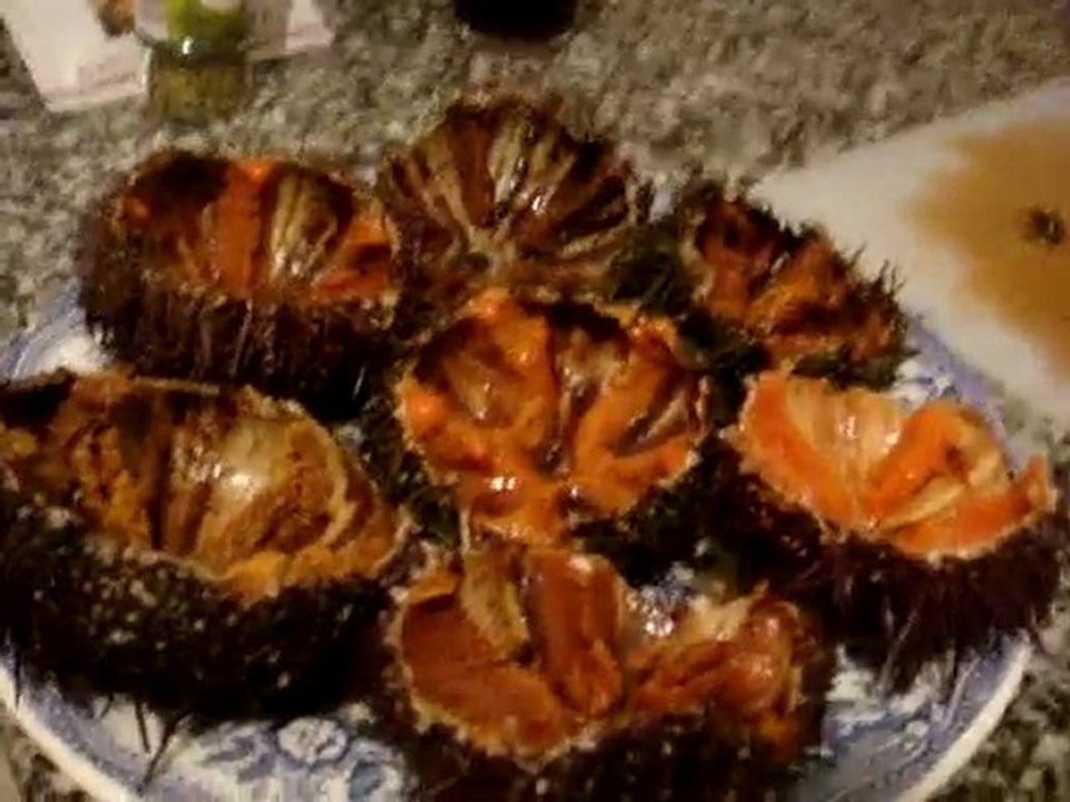 How to clean and serve sea urchins - seafood