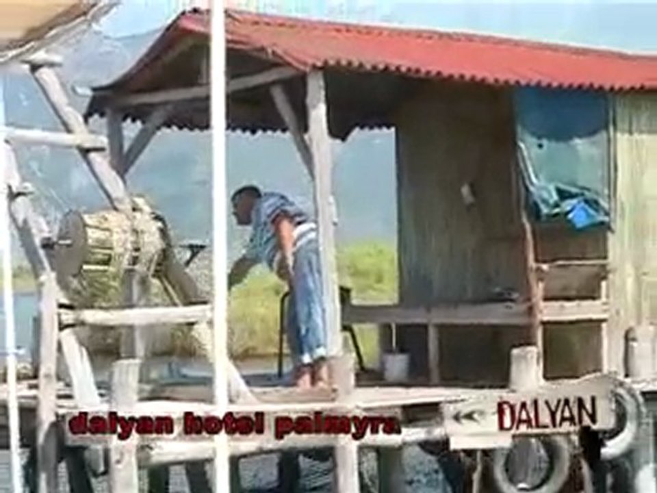 DALYAN TANITIM