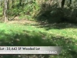 Bethesda New house For SAle in Bannockburn by PAramount Con