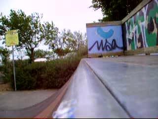 session skate