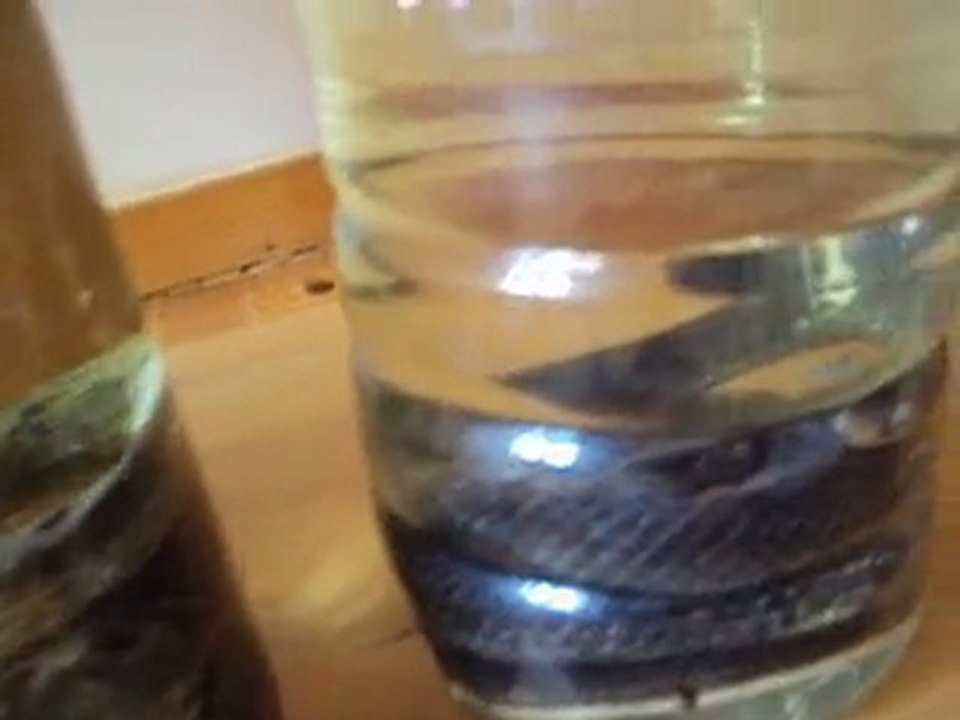 Efehunter35 kaçak avlanan hayvanlar