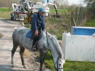trotting-balade