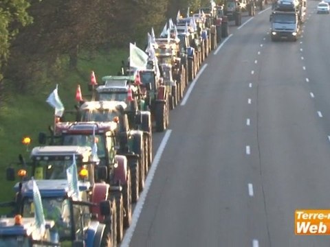 Manifestation des agriculteurs : les tracteurs se regroupent