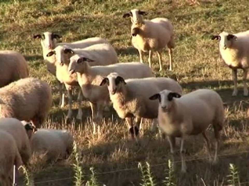 Entre PERIGORD et QUERCY
