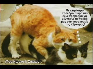 OYTE ΓΑΤΑ ΟΥΤΕ ΖΗΜΙΑ;