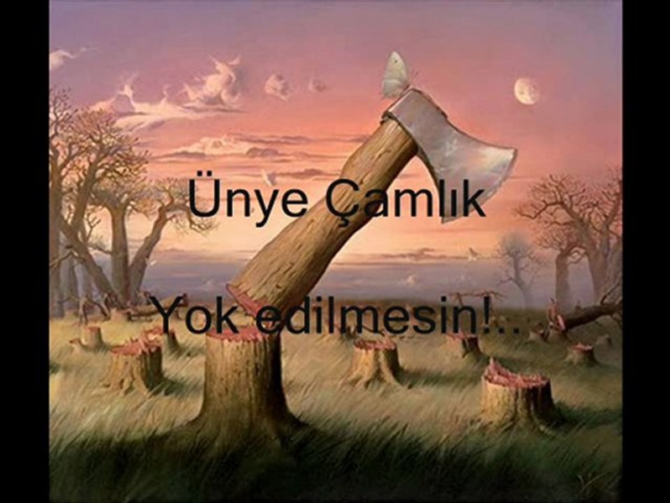 Ünye Çamlık, otel inşaatına kurban edilmesin!..