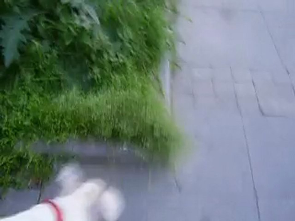 Saglikli ve merakliyim