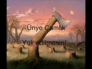 Ünye Çamlık, otel inşaatına kurban edilmesin!..