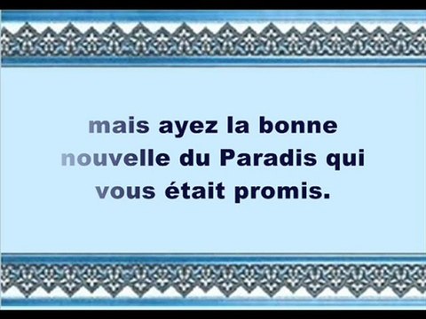 101 Les Versets détaillés (par Mouhammed Ta-Ha Tawfiq)