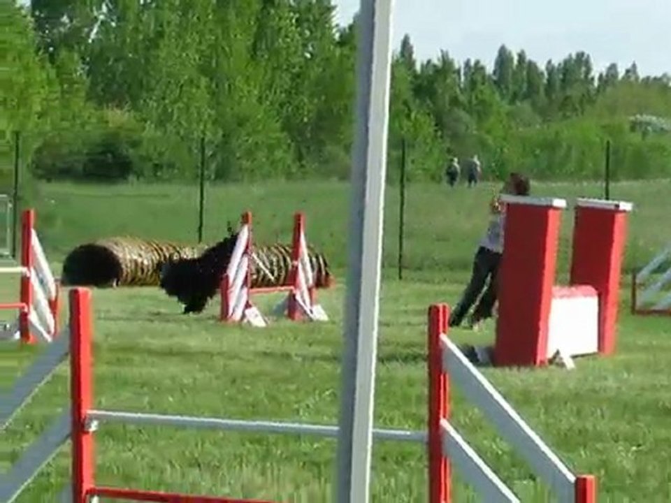 Thorgal Jump Sélectif GPF Auch 2010