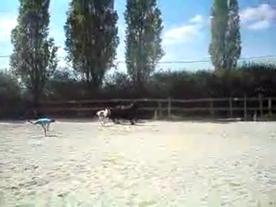 Ambre et Feeringa