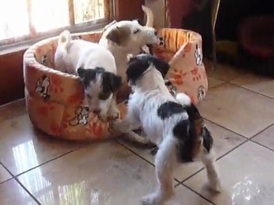 Caly et Fanta