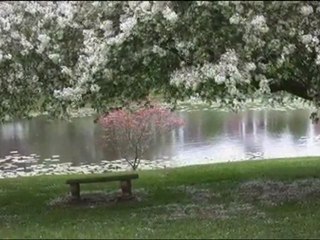 Böyle gelmezdi her yil bahar-(Musıki Dergahı)