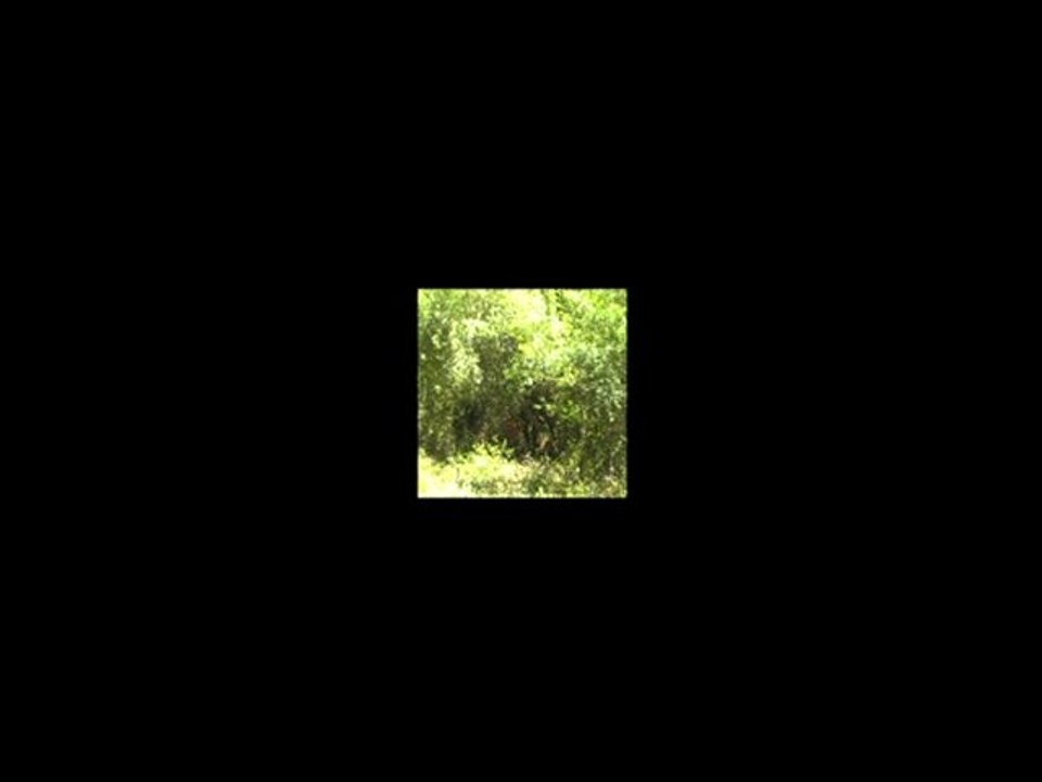 Séquence 01