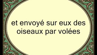 168 L'Eléphant (par Saad Ibn Said Al-Ghamidy)