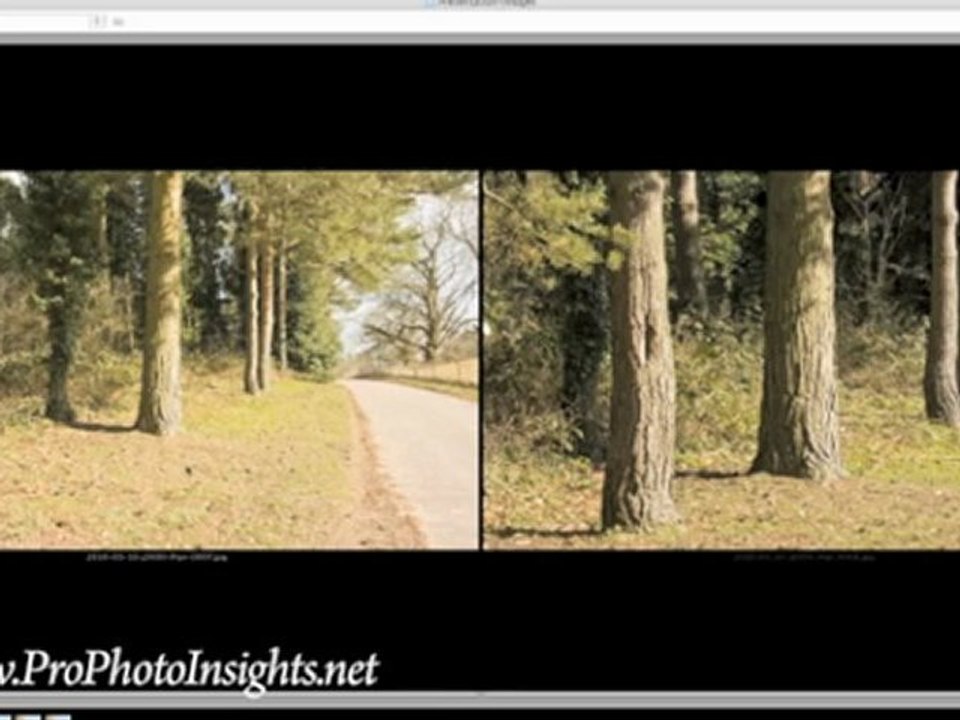 Composition In Photography Digital Photography Tutorial,