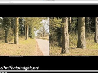 Composition In Photography Digital Photography Tutorial,