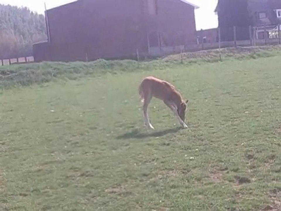 24 éme jours de vie de spirit