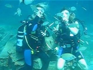 Athos Diving Center Ouranoupoli Halkidiki