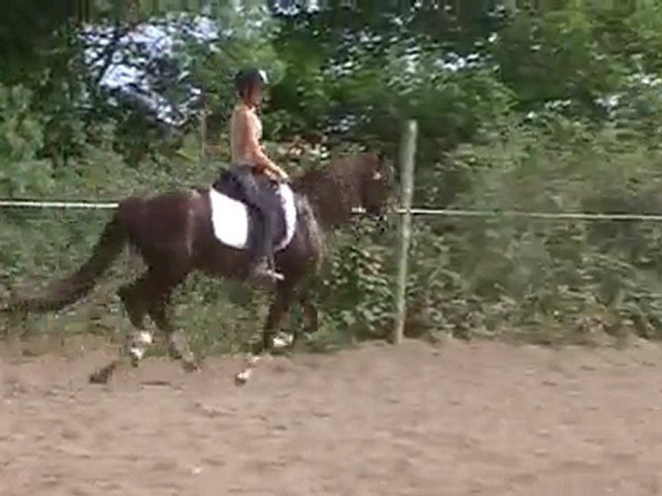 o rey video 018 galop